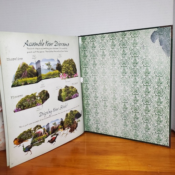 The Field Guide to Birds: Explore Southern Asia and Oceania (No Diorama) Book - Picture 3 of 14